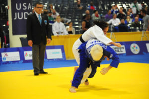 judo