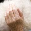 arresto golfo aranci innocente