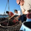 pesca al riccio