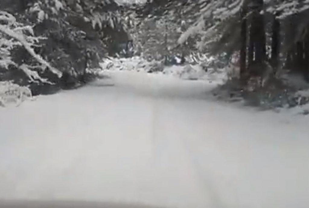 neve Limbara
