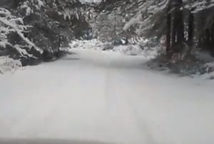 neve Limbara