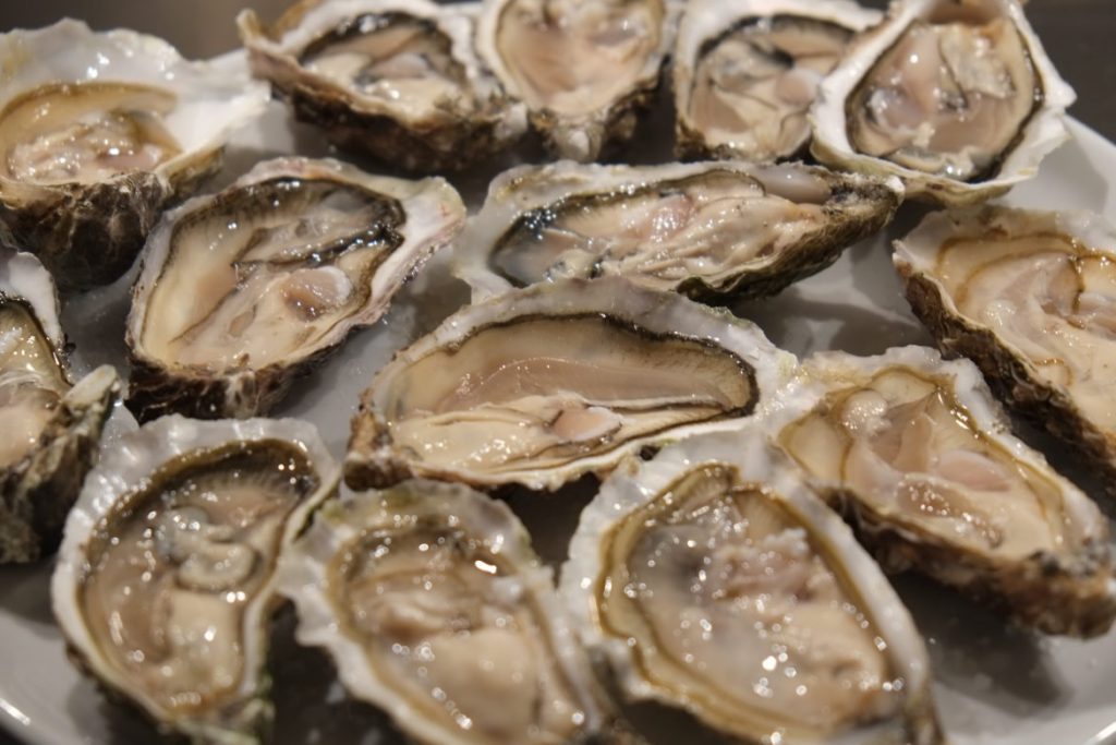 Ostriche mitilicoltura cugnana