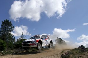 Rally vermentino