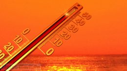caldo Gallura