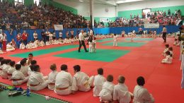 kan judo olbia