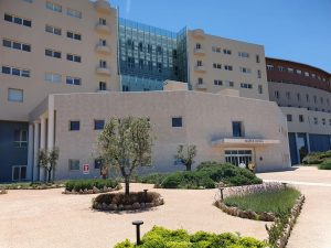 Mater Olbia