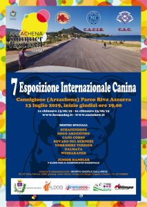 esposizione internazionale canina gruppo cinofilo gallurese cani