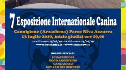 esposizione internazionale canina gruppo cinofilo gallurese cani