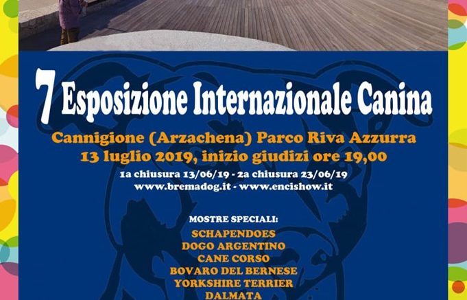 esposizione internazionale canina gruppo cinofilo gallurese cani