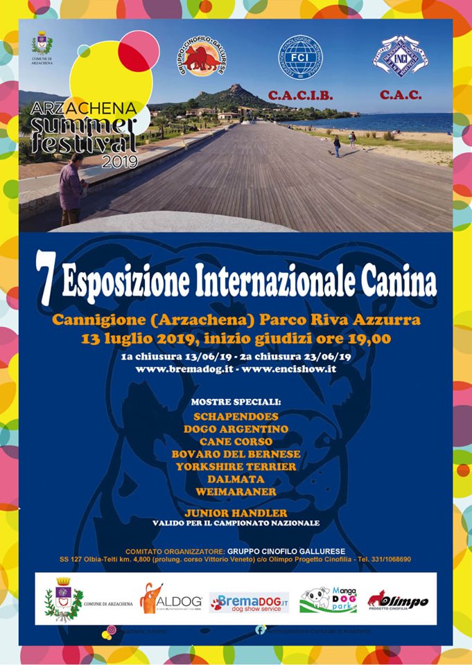 esposizione internazionale canina gruppo cinofilo gallurese cani