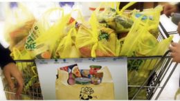 donare la spesa con la colletta alimentare