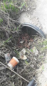 escrementi accanto a uno scarico a pittulongu