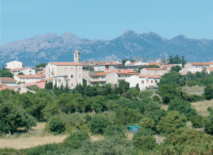 estate Telti