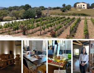 olbios cantina vermentino docg