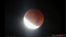 eclissi luna