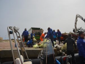 giornata ecologica La Maddalena