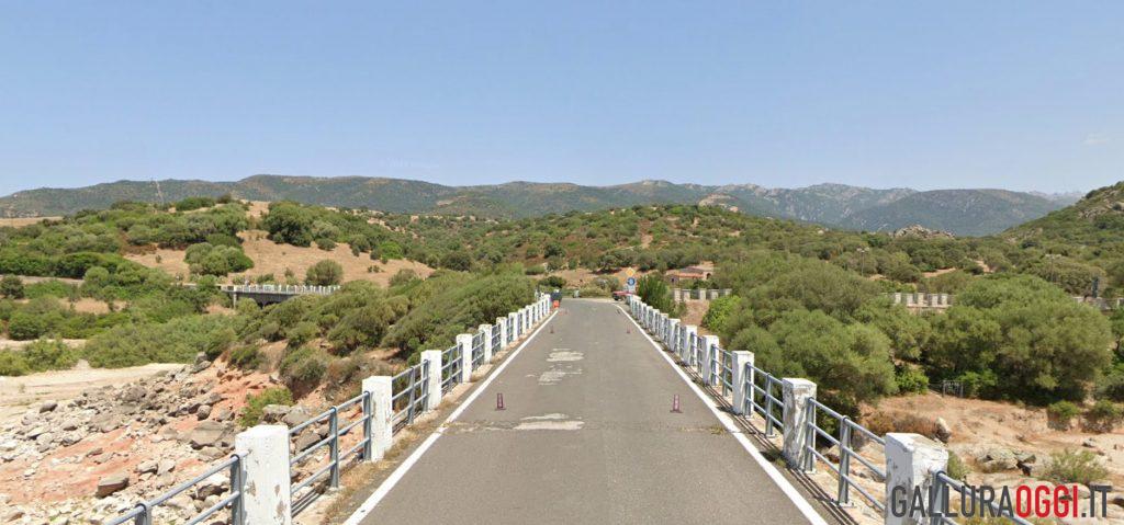 Ponte Diana