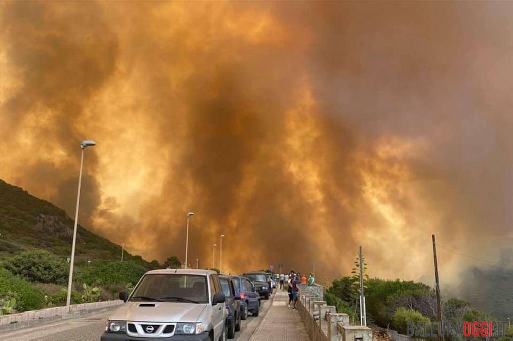 incendi sardegna