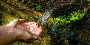 acqua sorgente