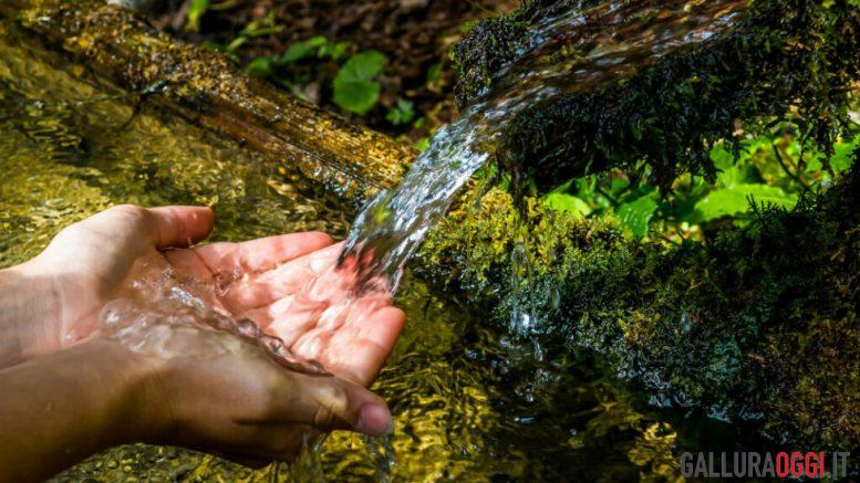 acqua sorgente