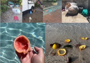 rifiuti spiagge spazzatura gallura incivili olbia la maddalena arzachena cala coticcio