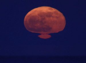 Nasa ottiolu busilacchi luna