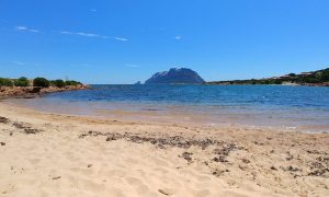 Cala Finanza