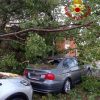 cannigione alberi auto maltempo arzachena la maddalena2