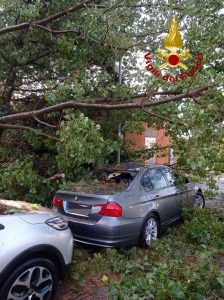 cannigione alberi auto maltempo arzachena la maddalena2
