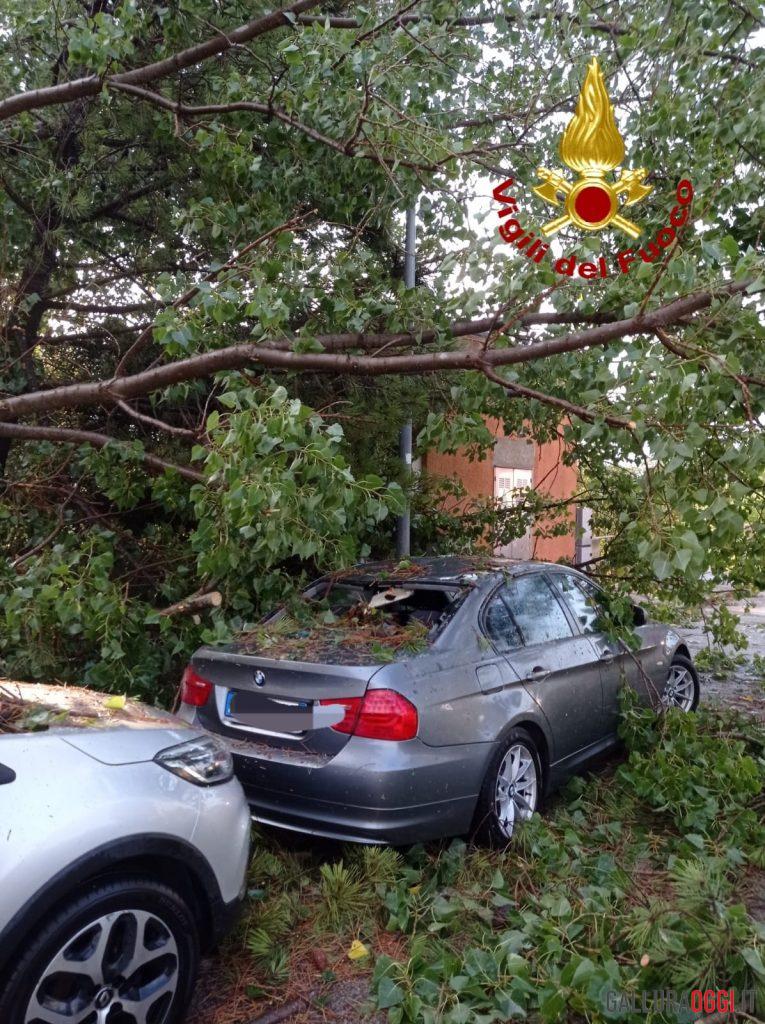 cannigione alberi auto maltempo arzachena la maddalena2