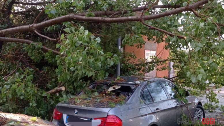 cannigione alberi auto maltempo arzachena la maddalena2
