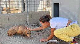 elisabetta canalis lida olbia