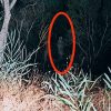 fantasma spettro presenza caprera