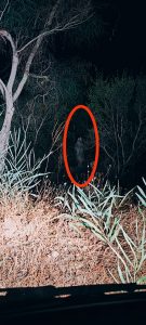 fantasma spettro presenza caprera