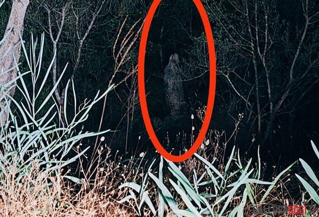 fantasma spettro presenza caprera