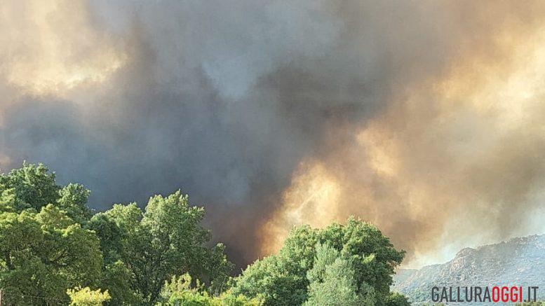 incendio calangianus