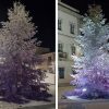 albero di Natale Tempio
