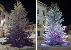 albero di Natale Tempio