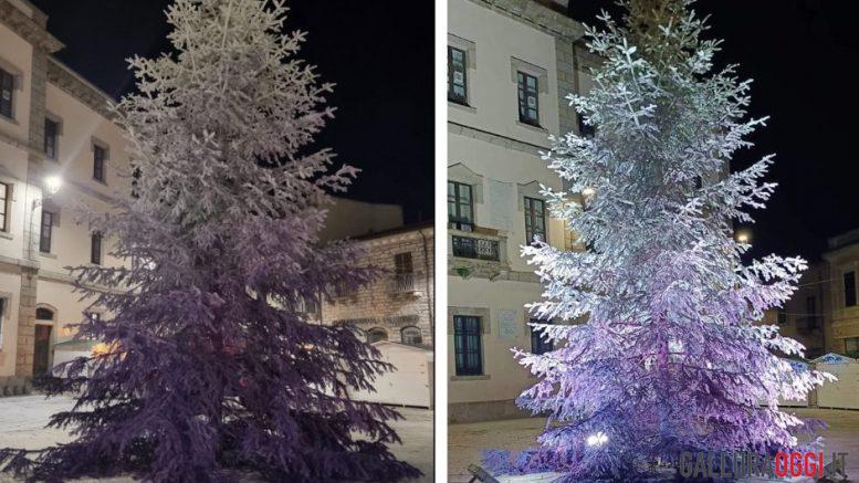 albero di Natale Tempio