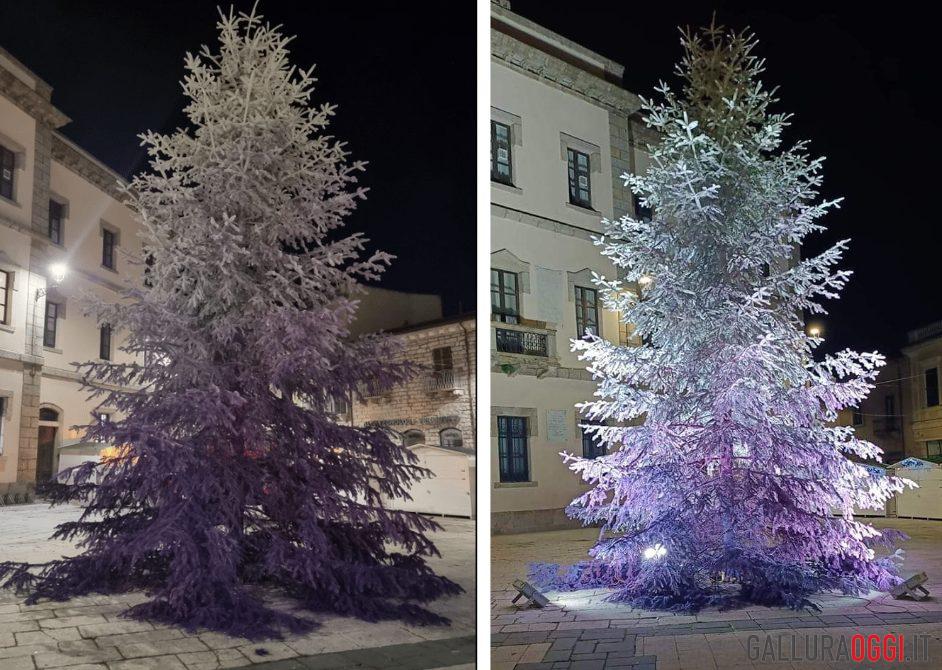 albero di Natale Tempio