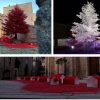 Natale Tempio