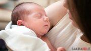 Neonato
