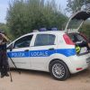 incidente Loiri