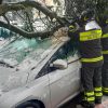 vigili-del-fuoco-tempio-disagi-neve3