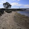 Bassa marea a Olbia, ricompare la spiaggia Mogadiscio