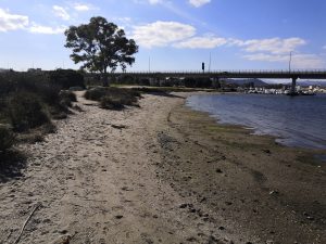 Bassa marea a Olbia, ricompare la spiaggia Mogadiscio