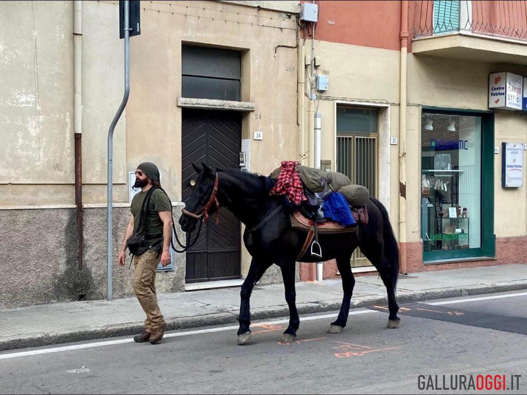 cavallo