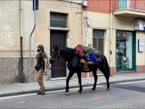 cavallo