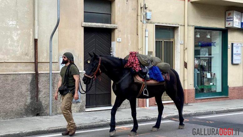 cavallo