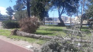 burrasca